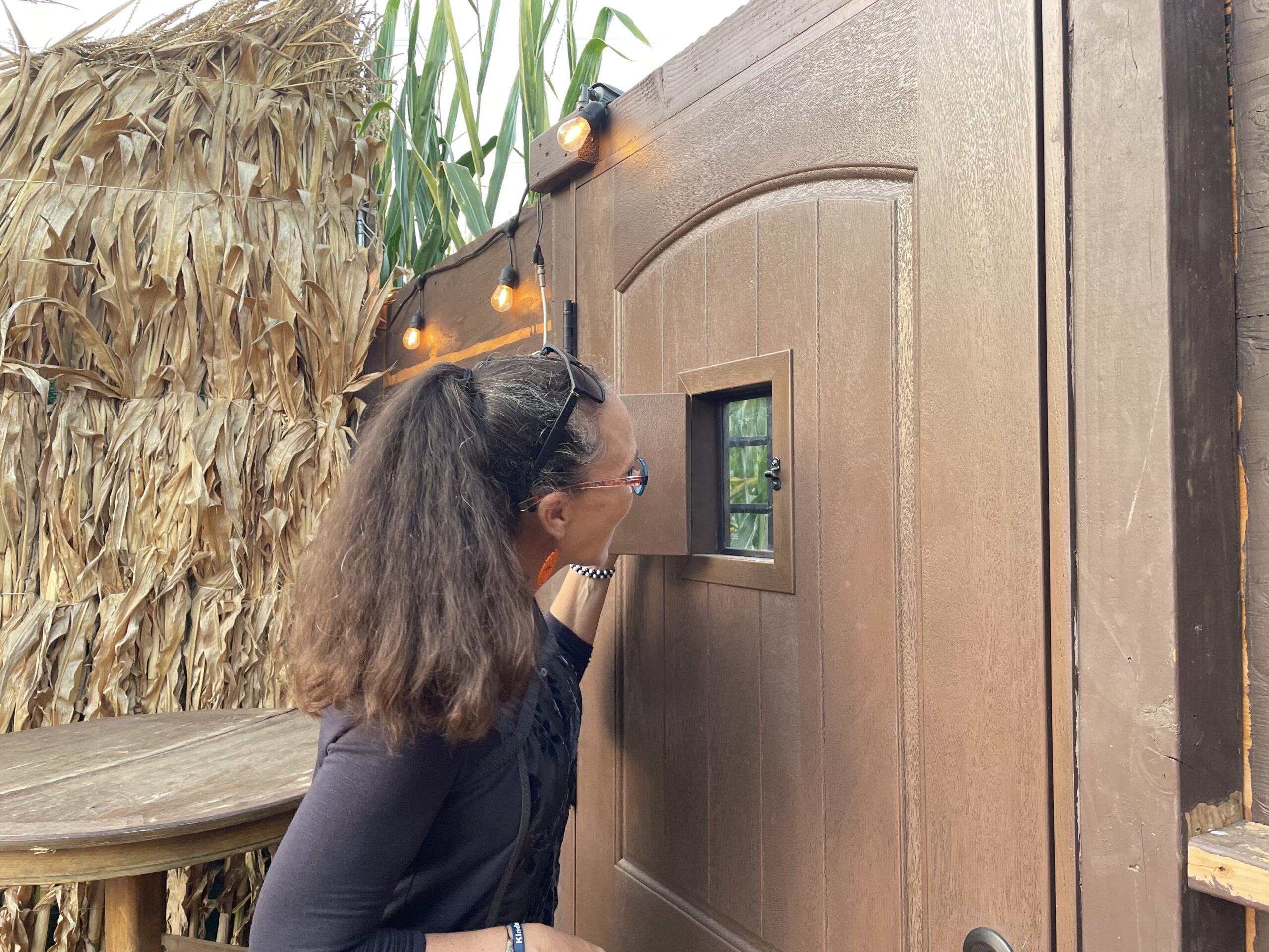Speakeasy Door_Alixe