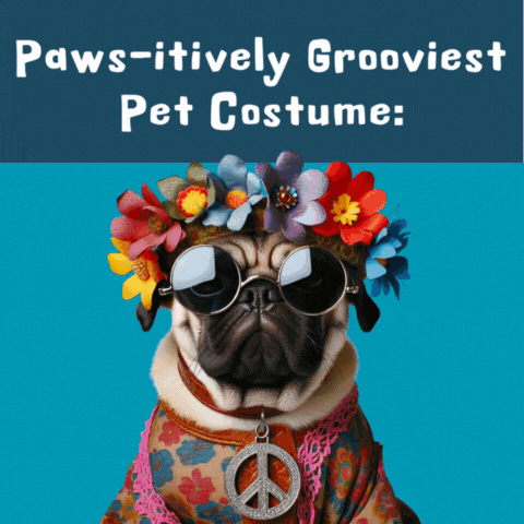 Collaborative Community Art & Costume Contest